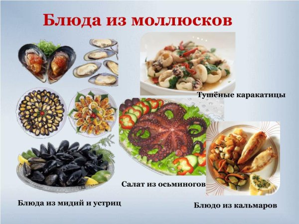 Моллюски в жизни человека