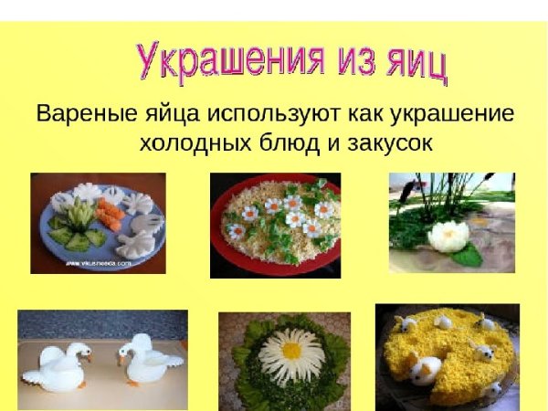 Ассортимент холодные блюда и закуски из яиц