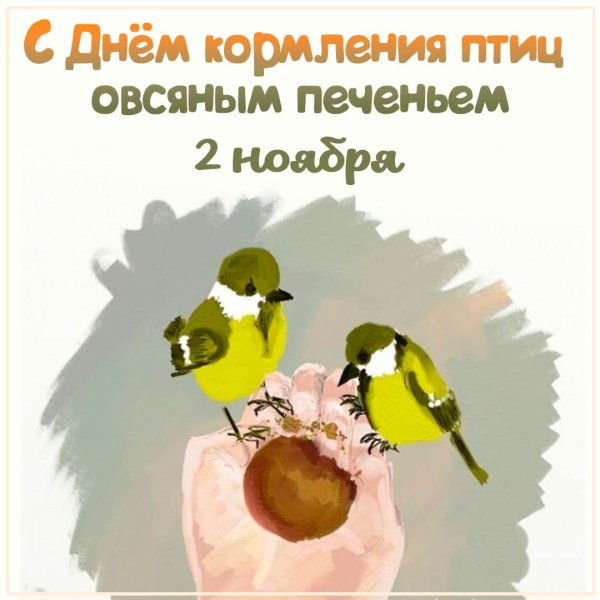 Кормление птиц овсяным печеньем