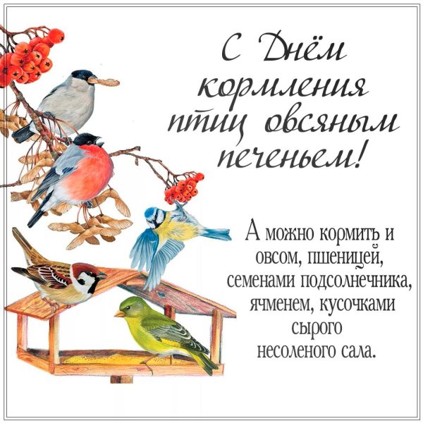 Кормить птиц цитаты