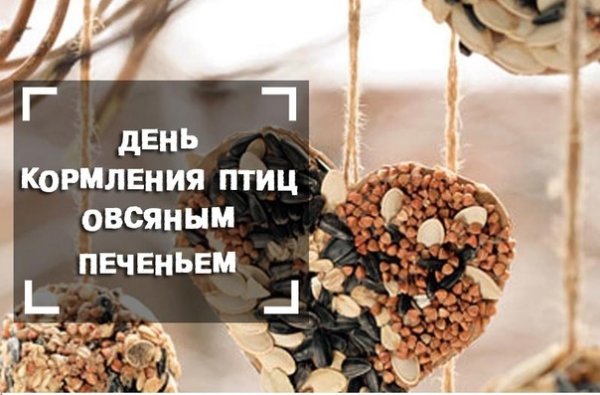 День кормления птиц овсяным печеньем 2 ноября