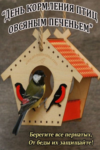 День кормления птиц овсяным печеньем открытки