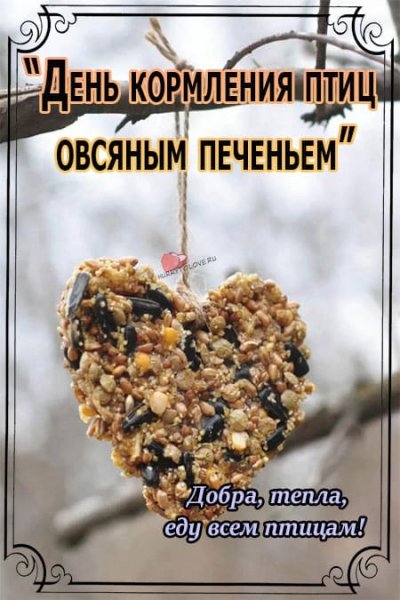 День кормления птиц овсяным печеньем открытки