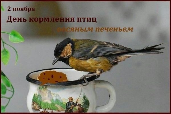 День кормление птиц овсяным печеньем цель и задачи