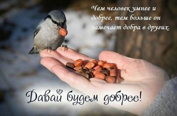 Открытки о доброте