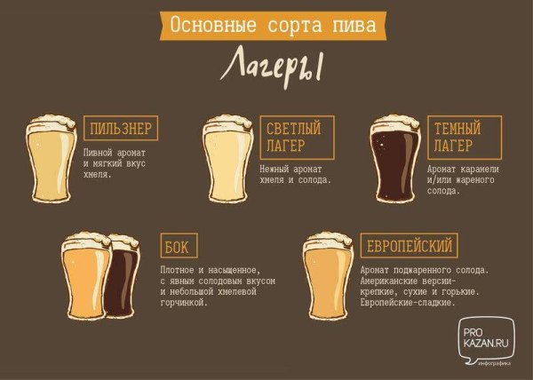 Лагер Эль Портер Стаут отличия