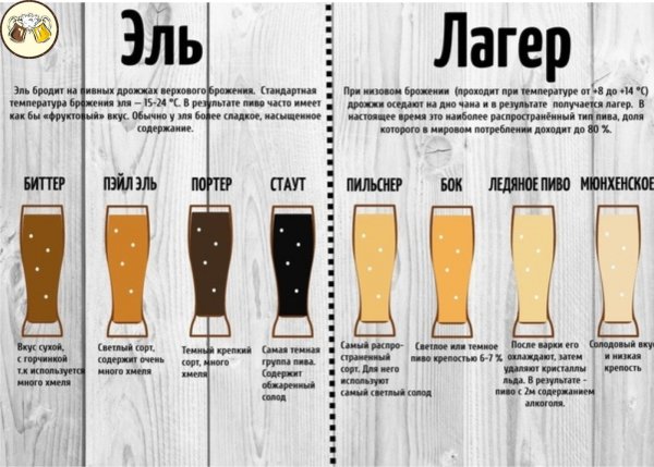 Виды пива лагер Стаут Эль