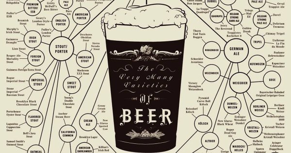 Классификация сортов пива