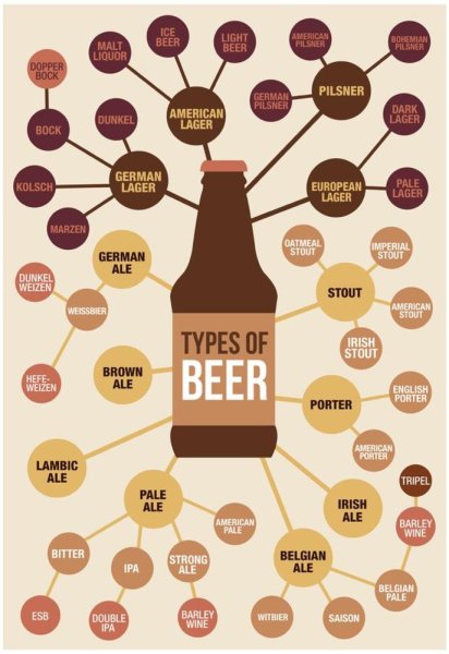 Классификация сортов пива