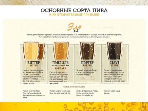 Сорта пива лагер Портер