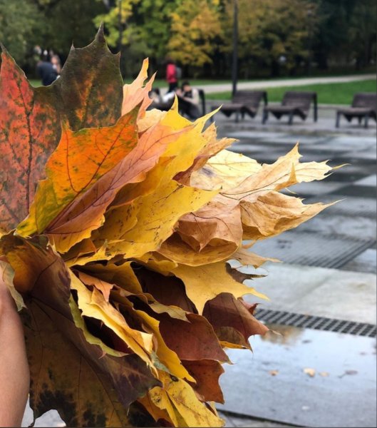 Парк Горького Казань осень Казань