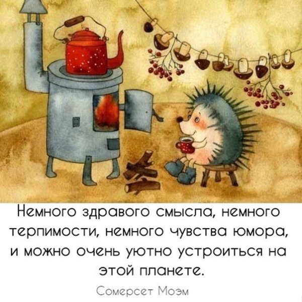 В любой непонятной ситуации ставь чайник