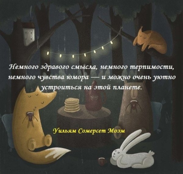 Немного здравого смысла немного терпимости немного чувства юмора