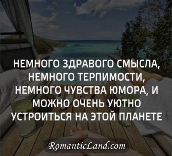 Немного здравого смысла немного терпимости немного чувства юмора