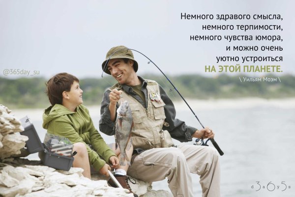 Немного здравого смысла немного терпимости немного