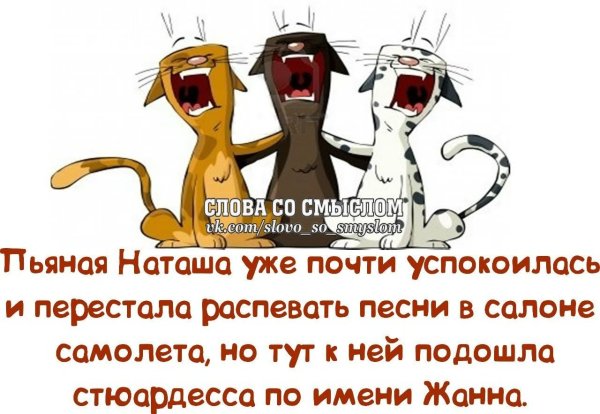 Смешные высказывания в картинках