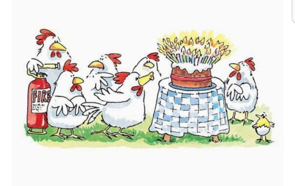 С днем рождения кура