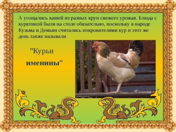 День курицы праздник