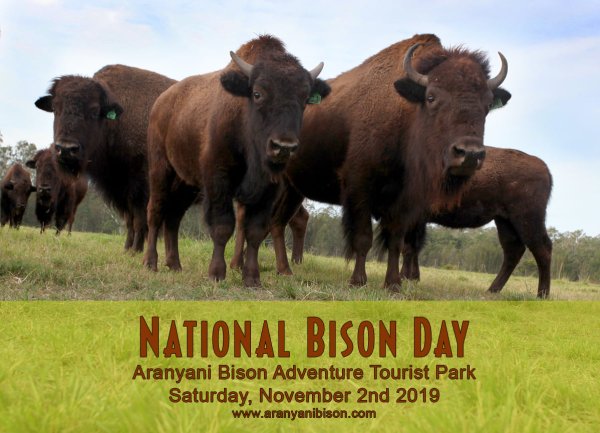 День бизона (National Bison Day) в США