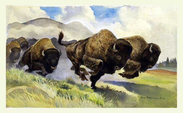 Стадо бизонов в живописи