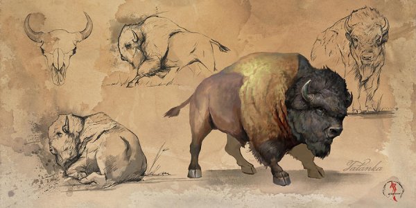 Tatanka Бизон