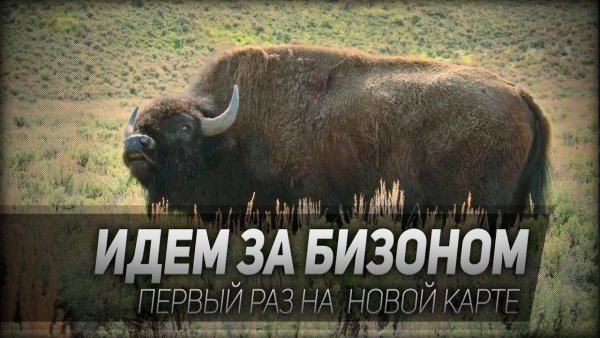 Бизон the Hunter