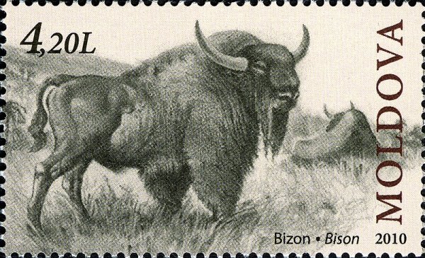 Бизон марка