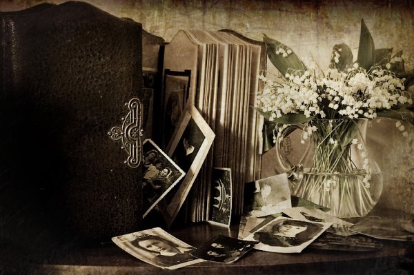 День рассматривания старых фотографий 5 ноября