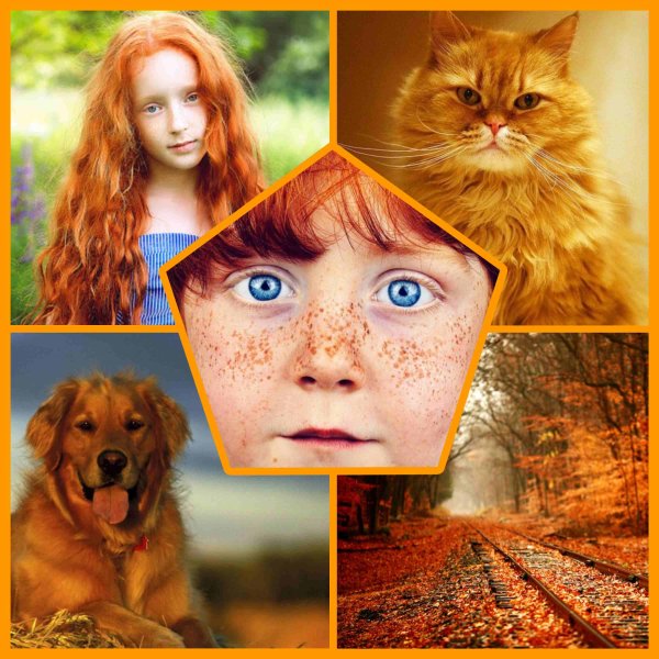 Всемирный день рыжих