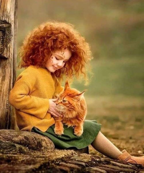 День рыжих картинки