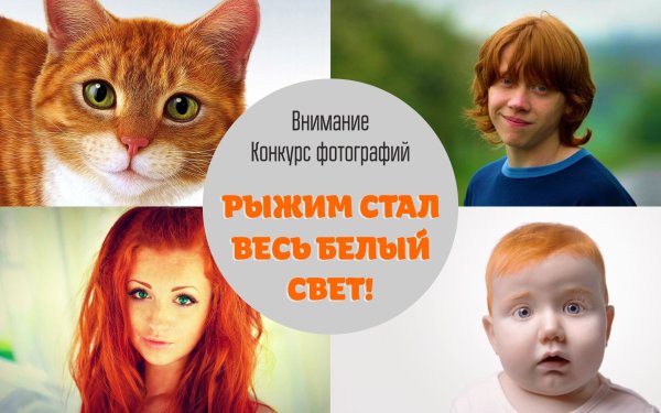 Всемирный день рыжих