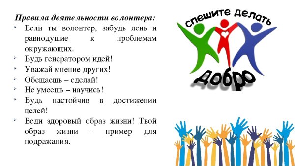 Правила деятельности волонтера