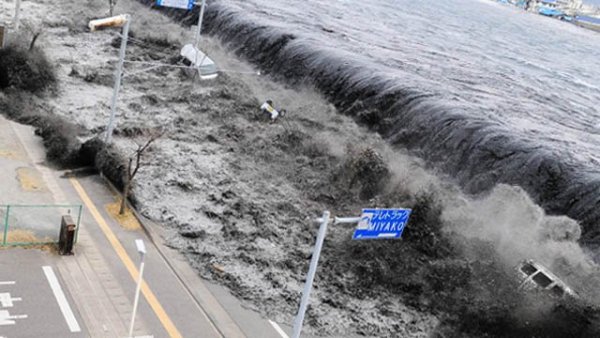 День ЦУНАМИ 5 ноября