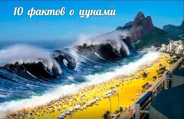 Всемирный день ЦУНАМИ