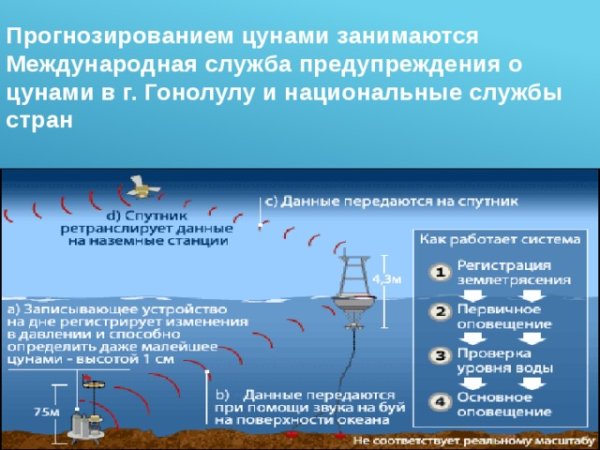 Система предупреждения о ЦУНАМИ