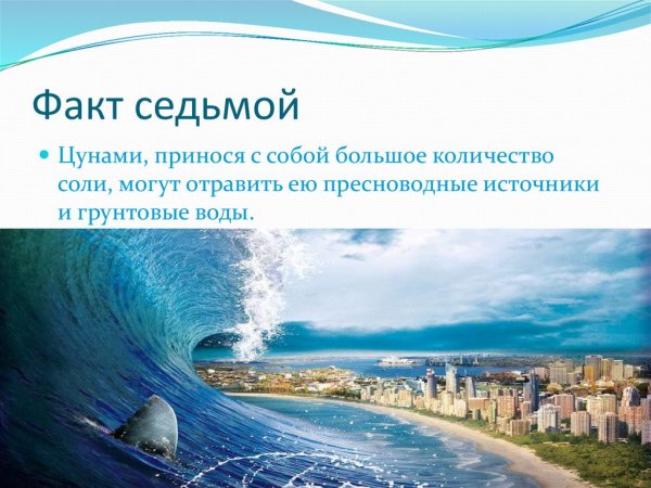 Факты о ЦУНАМИ