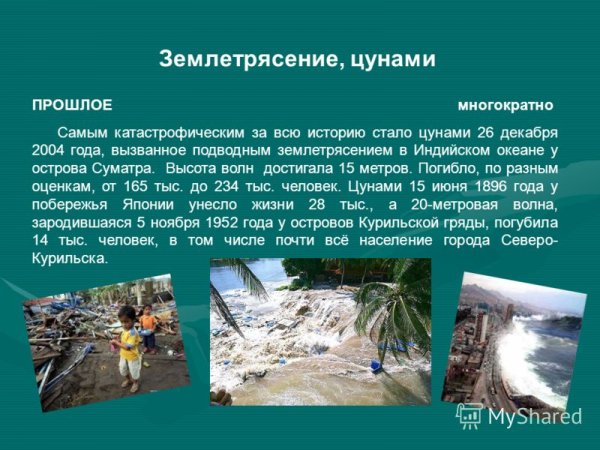 Последствия ЦУНАМИ презентация