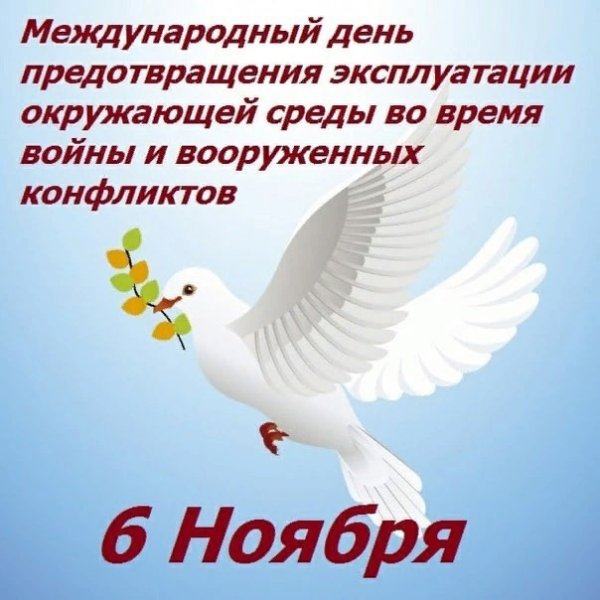 6 Ноября Международный день