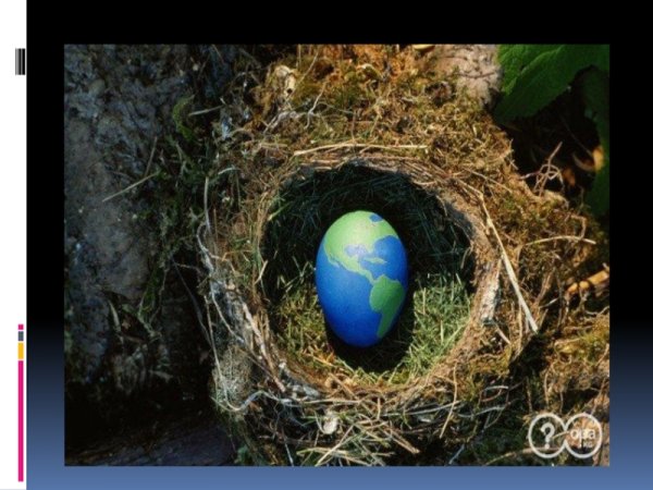 6 Ноября Международный день эксплуатации окружающей среды