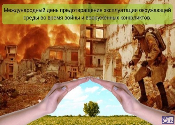 Война и окружающая среда