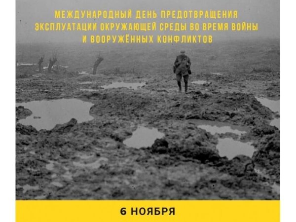 Международный день предотвращения эксплуатации окружающей среды