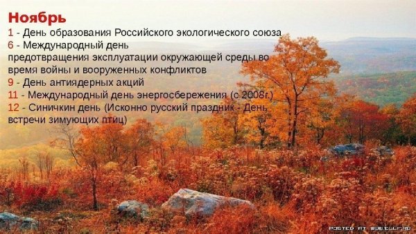 1 Ноября день образования российского экологического