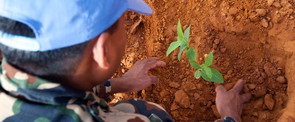 Охрана окружающей среды во время Вооруженных конфликтов