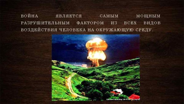 Экологические последствия войн