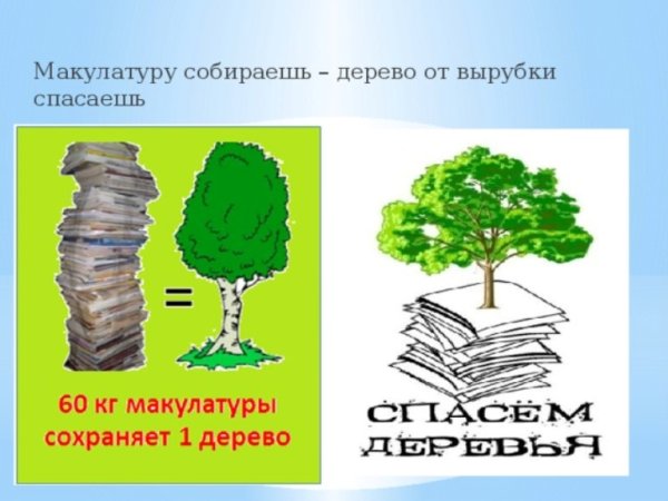 Собери макулатуру сохрани дерево