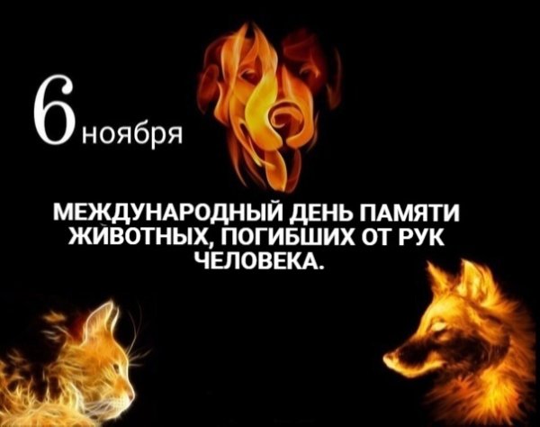 Международный день памяти животных, погибших от рук человека
