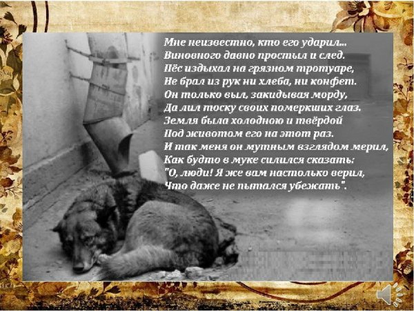 Стихи про погибших собак