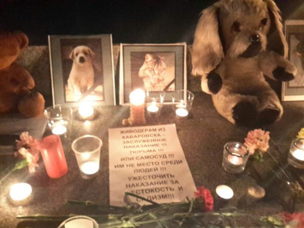 6 Ноября день памяти животных погибших от рук человека