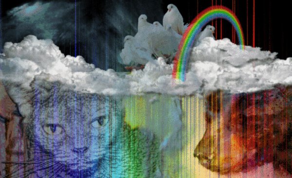 День радуги памяти животных