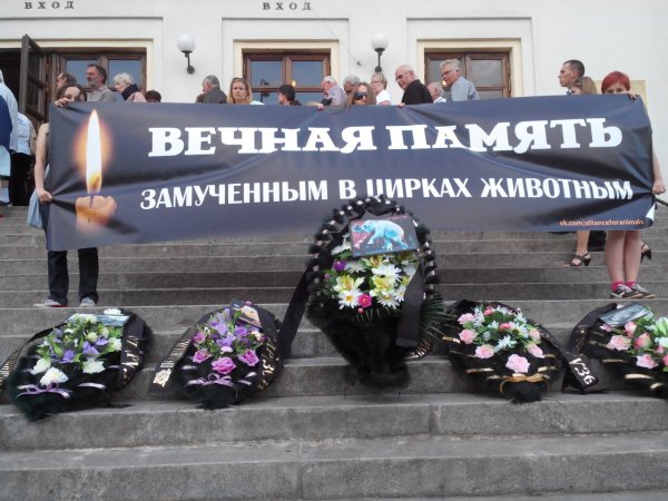 День памяти погибших животных